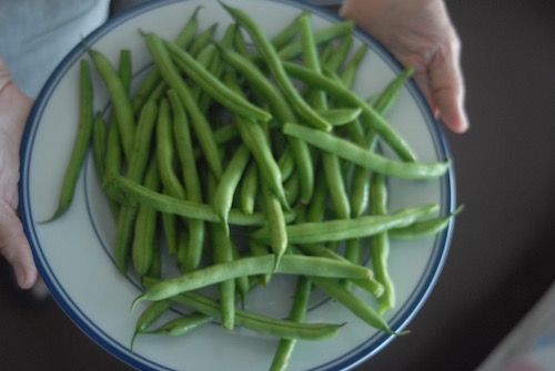 Bowl of green beans