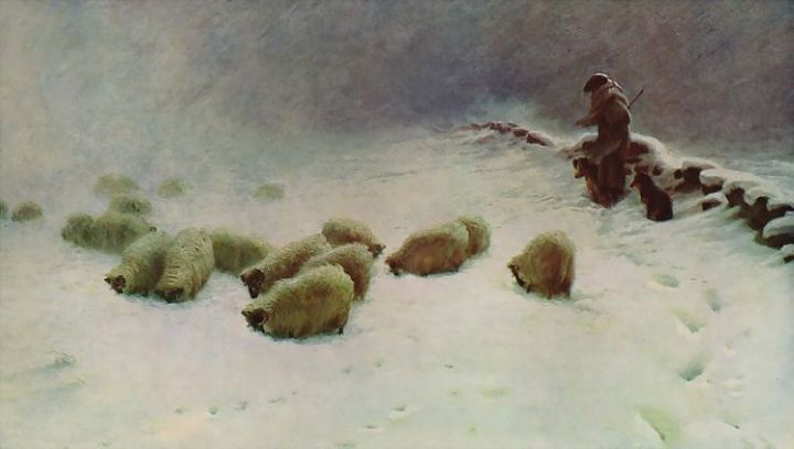 Sheep In Winter
